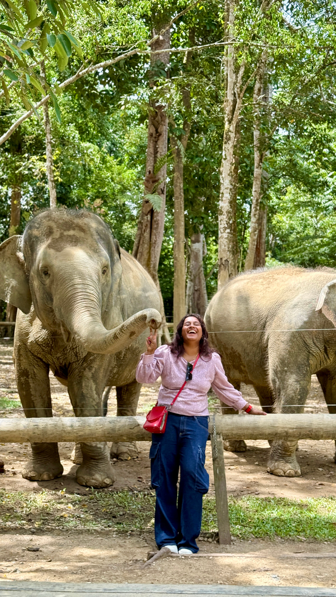 Divya with elephants in Malaysia